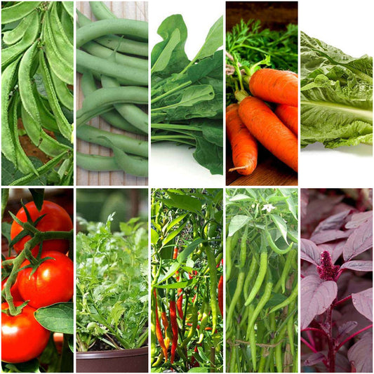 Pack of 12: Grow Sem Phali, Tomato & More – Summer Veggie Seeds Kit