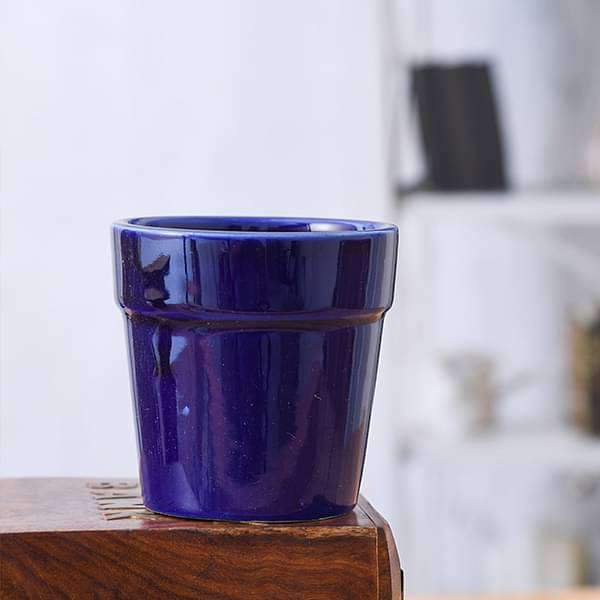 3 inch (8 cm) Round Ceramic Pot with Rim (Navy Blue)
