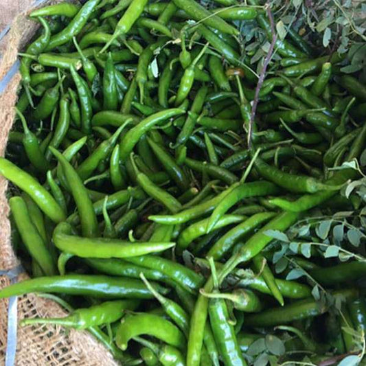 Indian Cuisine Veggie Pack