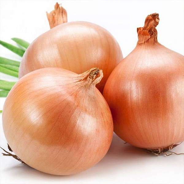 Onion Improved Gavran - Vegetable Seeds