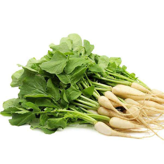 Easy to Grow Nutritious Microgreens